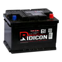 Аккумулятор RIDICON 6ст-61 (0) низкий